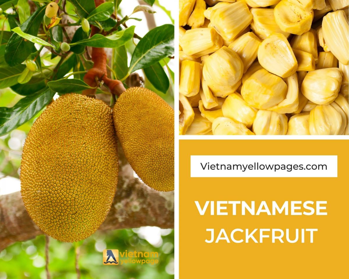 Vietnam Jackfruit