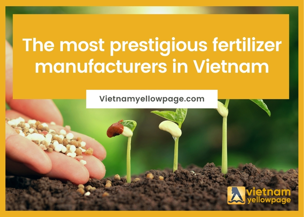 The most prestigious fertilizer manufacturers in Vietnam