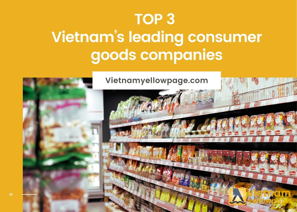 Top 3 vietnam’s leading consumer goods companies